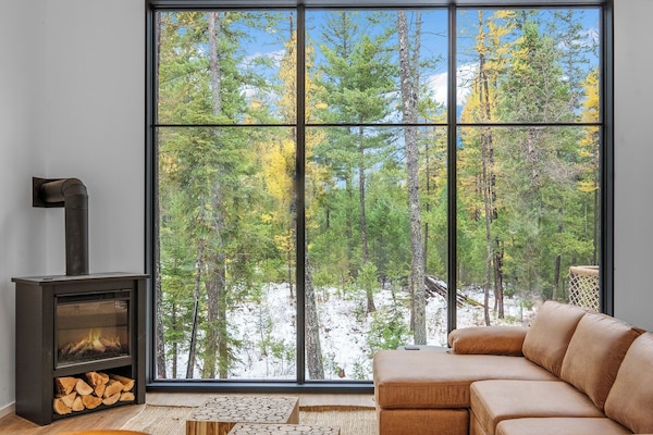 TV connectée, cheminée, livres