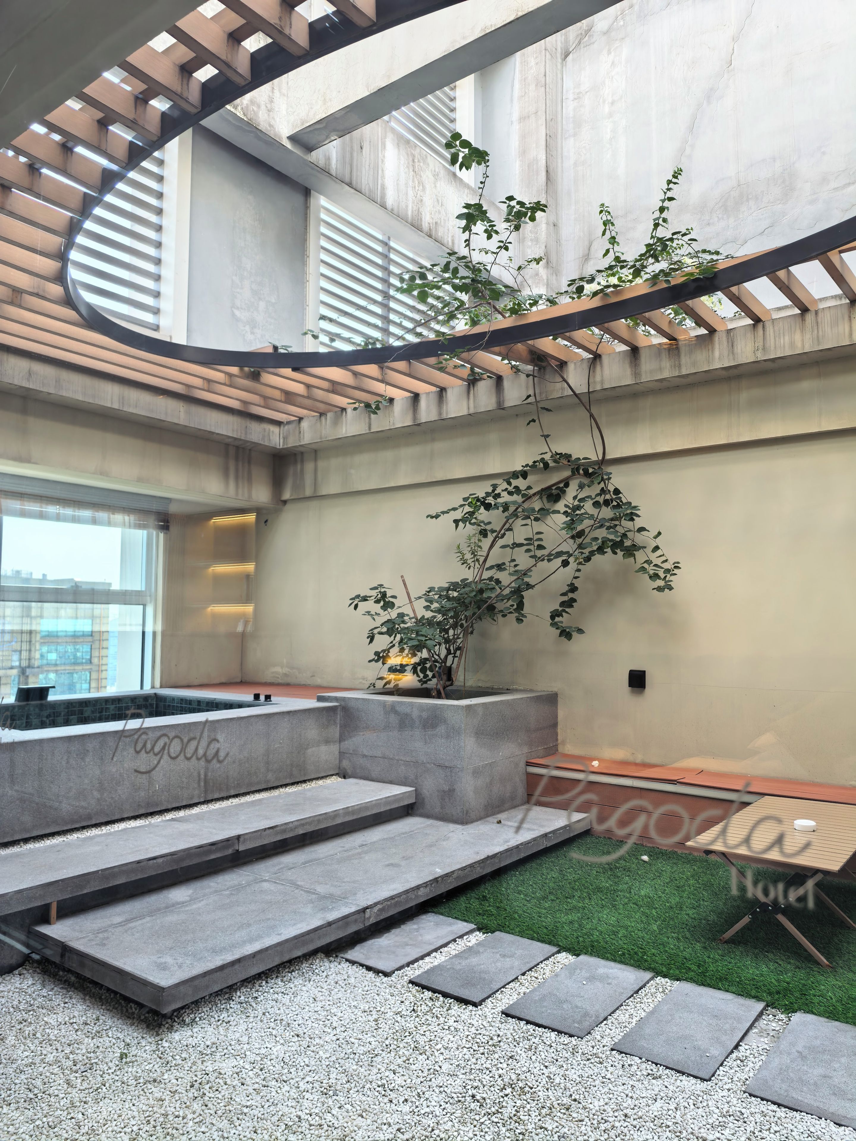 A modern interior with a concrete wall, a wooden pergola, and a small indoor garden.