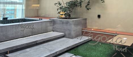 A modern interior with a concrete wall, a wooden pergola, and a small indoor garden.