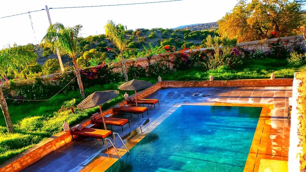 A rectangular swimming pool with a stone border, surrounded by a stone wall and lush greenery.