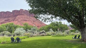 A grassy area with two Adirondack chairs and a large tree.