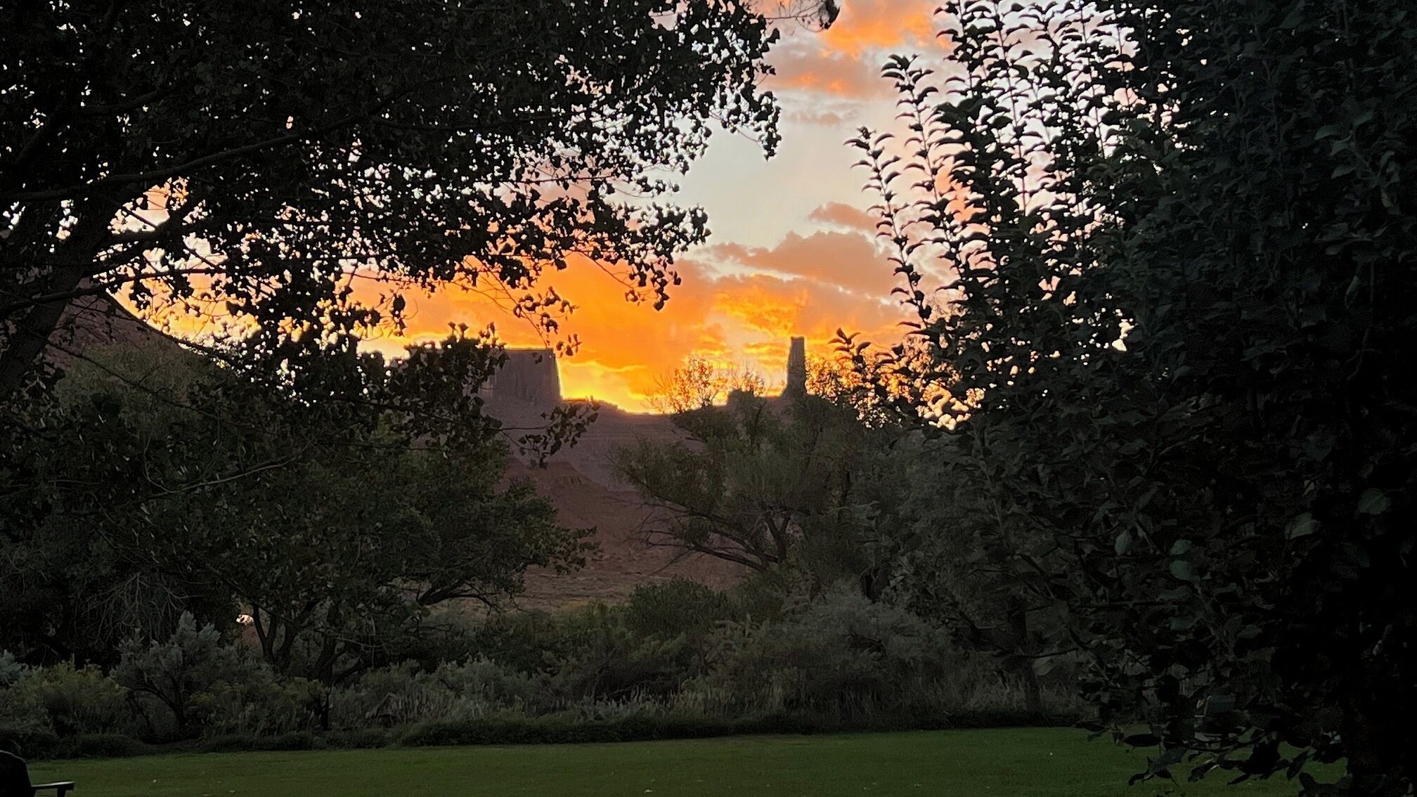 A sunset view through trees with a distant mountain.