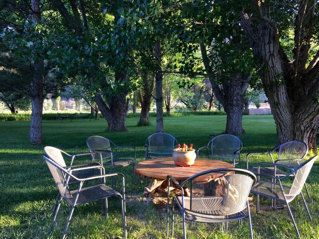 A round wooden table with metal chairs, surrounded by trees in a park setting.