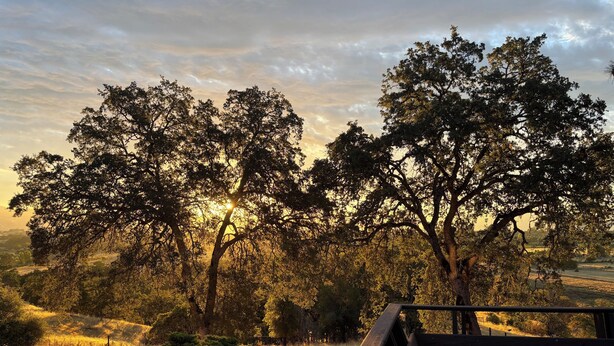 Una terraza de madera con vistas a un área boscosa, con árboles y un atardecer al fondo.