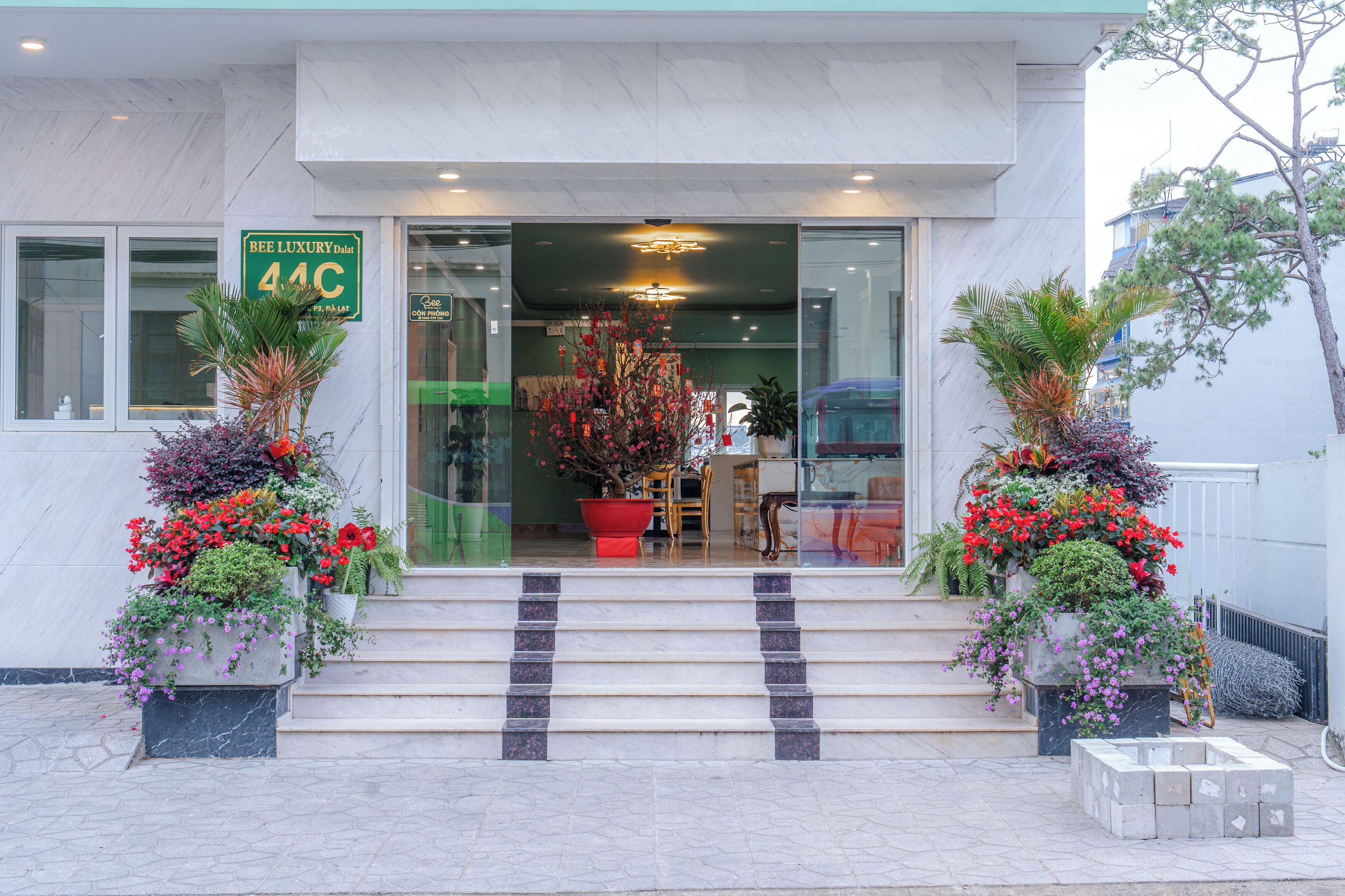 Entrada de hotel con un letrero que indica una calificación de 4 estrellas, una escalera que conduce al vestíbulo y plantas en macetas a ambos lados.