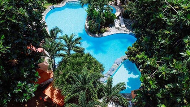 Eine Vogelperspektive auf einen Swimmingpool, umgeben von üppiger Vegetation und Palmen.