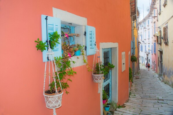 Property grounds - Villa Rosa Magica, Labin, Croatia (Labin)