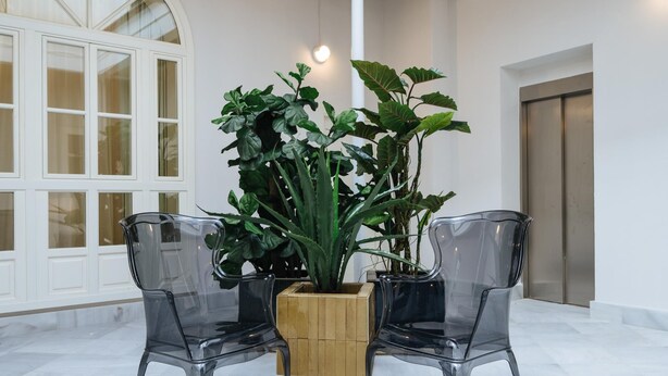 A modern interior with two transparent chairs around a wooden table, large green plants, and a white door with glass panels.
