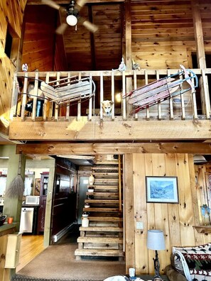 تلفزيون، مدفأة، طابعة