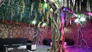 Une pièce avec un mur en pierre, une grande sculpture en forme d’arbre et des plantes suspendues. On y trouve plusieurs canapés noirs et blancs et une petite table.