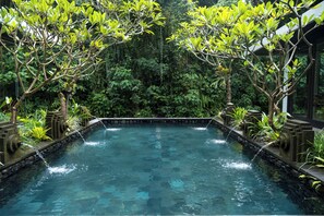 Outdoor pool - Adiwana Unagi Riverfront (Mas)