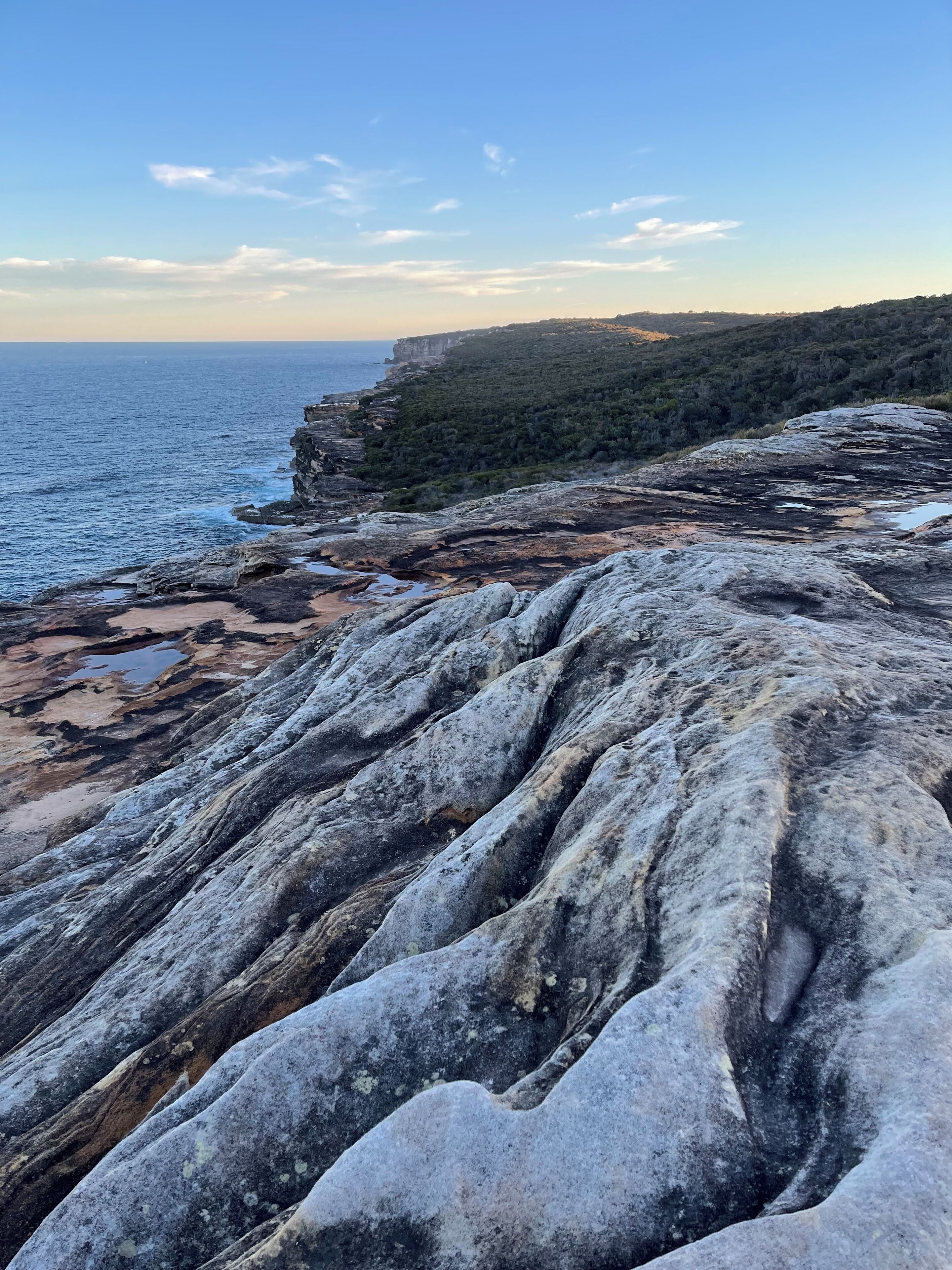 A rocky coastline with a view of the sea and a forested hill in the background.