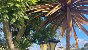 A street lamp, a palm tree, and a car in a residential area. - Garden View Entire Self Contained Guesthouse (Engadine)