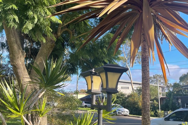 Front yard