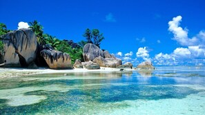 Beach - tanjung tinggi cottages (Tanjung Pandan)