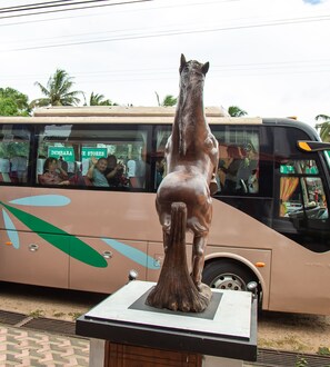 Front of property - Hotel Silver Horse Dambulla (Dambulla)