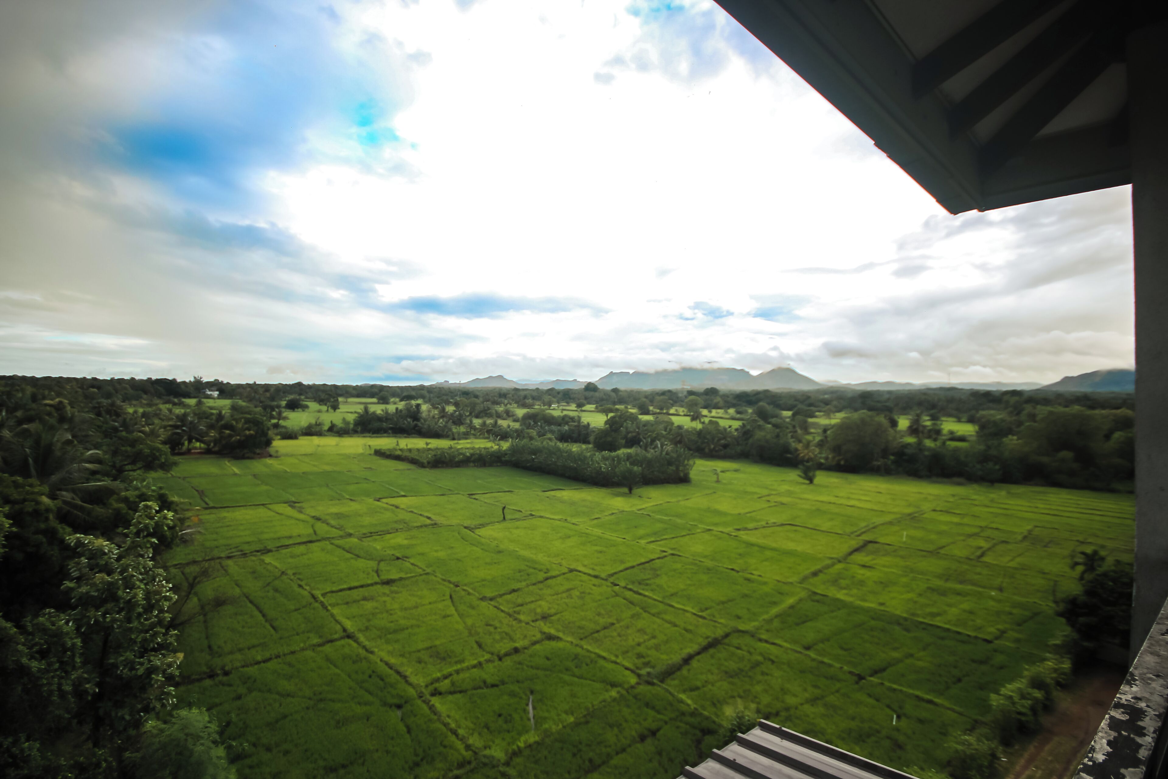 Visão de um campo verde com árvores e montanhas ao longe, sob um céu nublado.