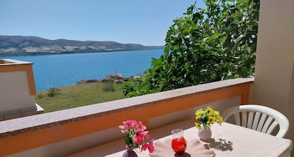 Metajna House With Pool And Sea View