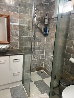 Hair dryer, bidet, towels, soap