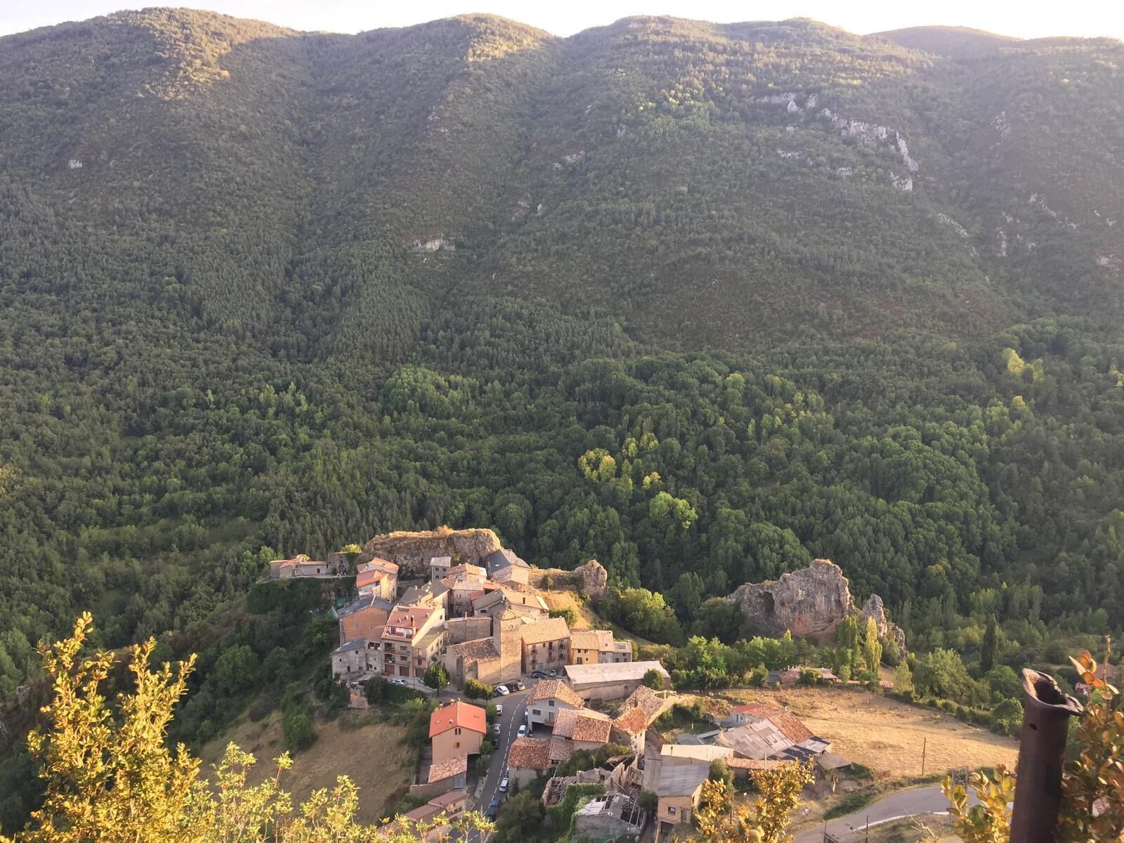 Diverse