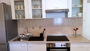 Apartment (Two Bedroom Apartment (Ana)) | Private kitchen | Fridge