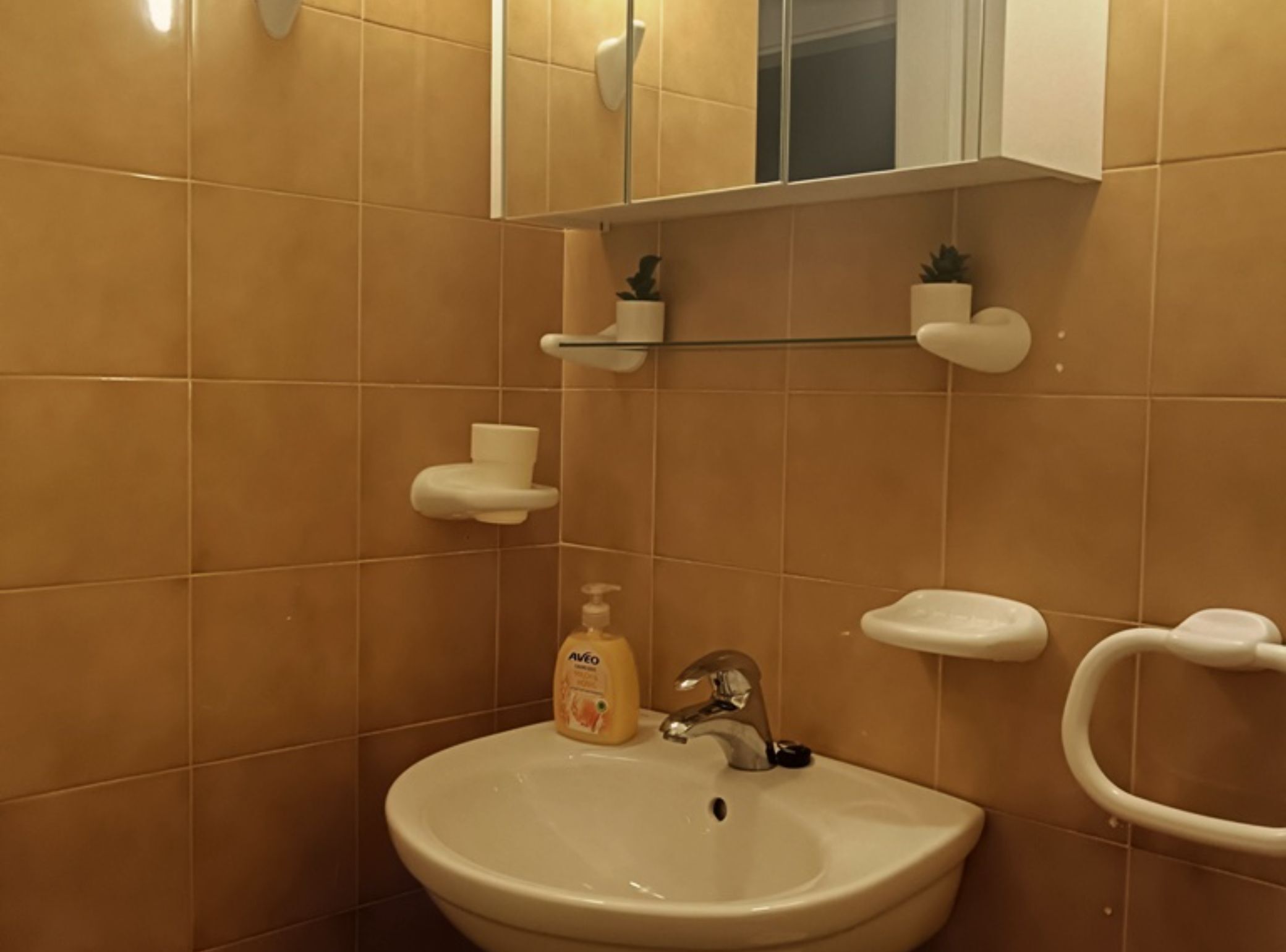 A bathroom with a white sink, a mirror, and a toilet. There are two small shelves above the sink, one holding a plant and the other a bottle of hand soap.