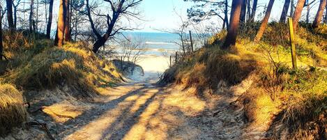 Nær stranden og solsenger