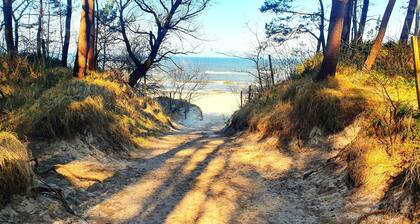 Happy Ocean - ground floor apartment: vacation with family & dog, 2 min. to the beach.