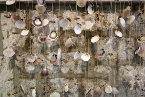 A wall with hanging shells and driftwood. - Quiet Studio in Zadars Old Town (Zadar)