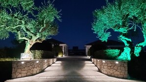A nighttime driveway leading to a house with stone walls and illuminated trees.