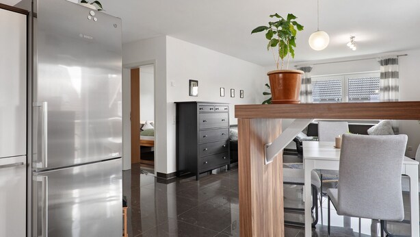 A modern kitchen with a stainless steel refrigerator, a wooden dining table, and a potted plant. - Apartment 'Am Otterbach' with Balcony and Wi-Fi (Jockgrim)
