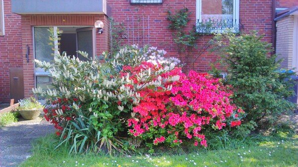 Details aan de buitenkant