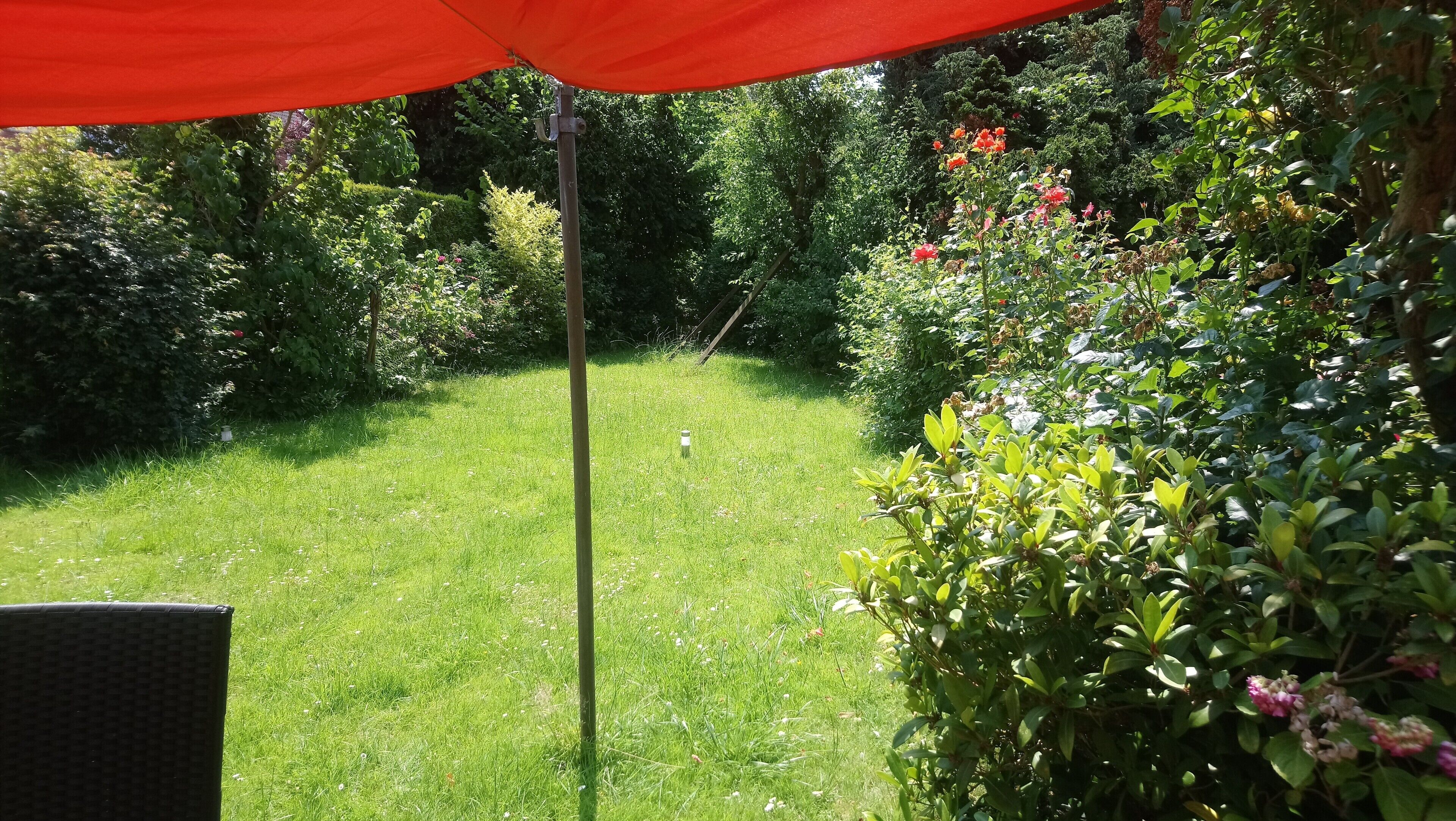 A garden with a grassy lawn, a red umbrella, and various plants and flowers.