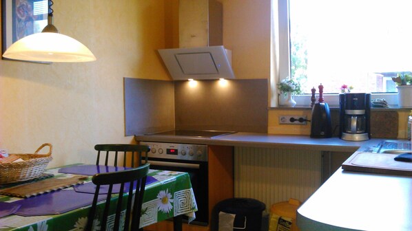 Una cocina con estufa, un fregadero, una ventana con plantas y una mesa con una silla.
