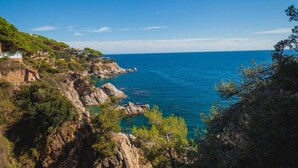 Un paisaje costero con acantilados rocosos, un mar azul cristalino y vegetación escasa.