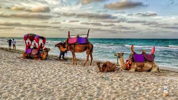 Studio (5 Bedrooms) | Front of property