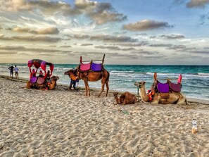 Lägenhet (1 Bedroom) | Boendets fasad