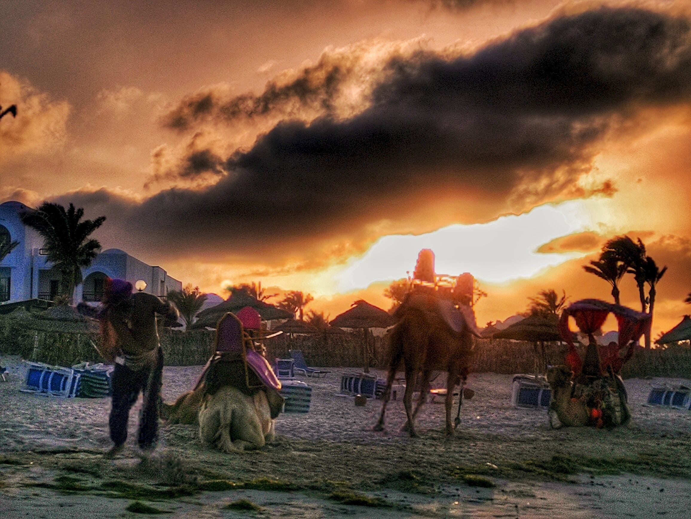 المنشأة من الداخل