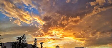 Estudio (5 Bedrooms) | Interior