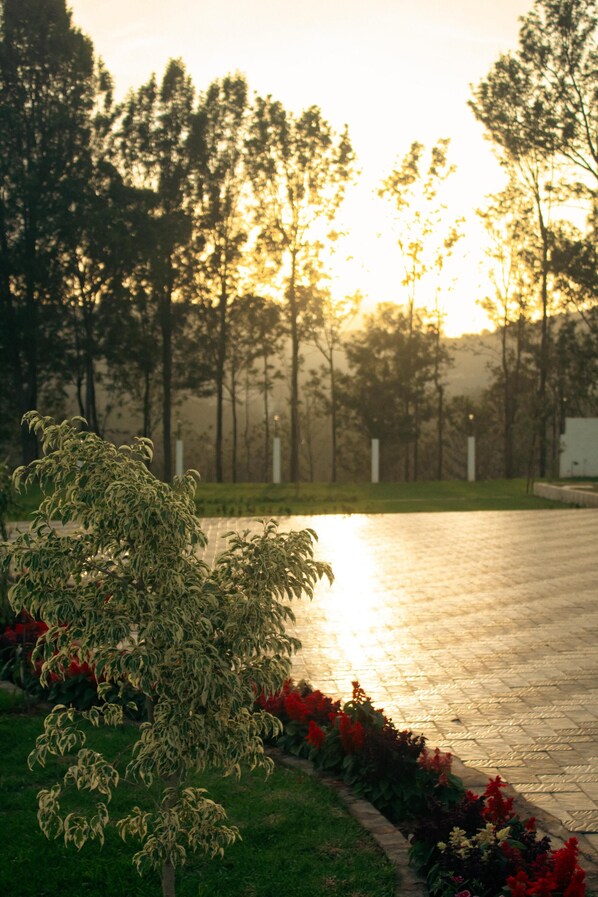 Un chemin pavé, avec un arbre et un parterre de fleurs sur le côté gauche, est bordé de grands arbres et un bâtiment se dresse à l’arrière-plan.