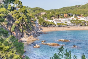 Playa en los alrededores