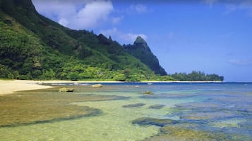 Sun loungers, beach towels