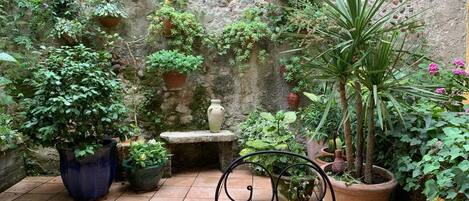 Terraza o patio