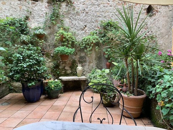 Terras