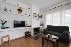 Älytelevisio, takka, DVD-soitin