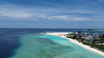 En la playa, sombrillas, toallas de playa, vóleibol de playa