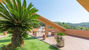 Terraza en la azotea con palmera, plantas en macetas y mobiliario exterior.