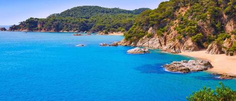 Plage à proximité