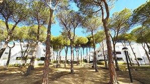 A park with trees and white buildings in the background. - Apartment in Spain near Beaches & City Center (Calella de Palafrugell, Llafranc)