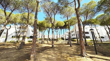 Un parque con árboles y edificios blancos al fondo.